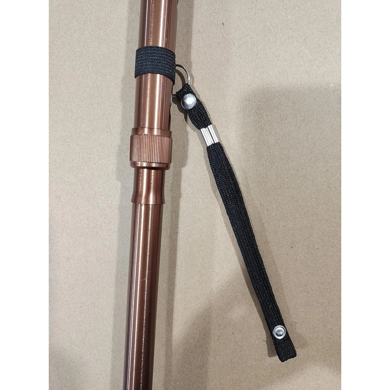 Assistive Technology Services Best Stand up Cane With Light -