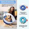 NoarWin 2-in-1 Inflatable Dog Cone Collar with Detachable Anti-Licking Shield,