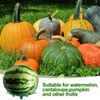 Zerodis Pack of 10 Melon Weighing Stands, Watermelon Stands, Melon