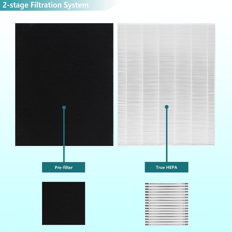 Lhari 2-Pack D480 True HEPA Replacement Filter, Compatible with Winix