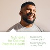 Irwin Naturals Prosta-Strong - Prostate Health Support with Saw Palmetto,
