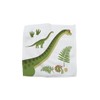 Hello Chums Wash Cloth - Dinosaur Magic Flannel, Face Cloths
