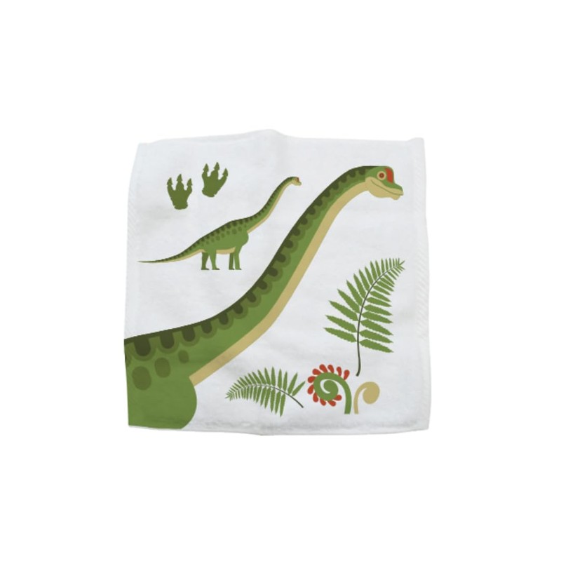 Hello Chums Wash Cloth - Dinosaur Magic Flannel, Face Cloths