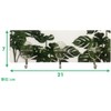 Toyo Case Harry Petter Triplicate HP-T-07 Kitchen Tool Hook, Green,