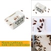 HTWON 12PCS Roach Motels Cockroach Bug Killer Sticky Pest Bait