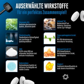 Joint Essentials – Hochdosiertes Gelenk-Supplement mit Collavant® N2 Typ-II-Kollagen – Glucosamin + Chondroitin + MSM + Hyaluronsäure + Vitamin C + Cissus + Weihrauch – 180 Tabletten