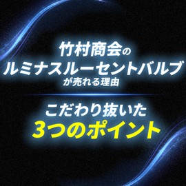 Takenous Truck Bastard Takemura Shokai BA9s LED G14 12v 24v Luminous Lucent Bulb with Built-in Strobe White for Square Markers, Set of 2 (White, BA9s)