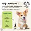 Forever Puppy Mullein Tincture for Dogs - Respiratory Health Support