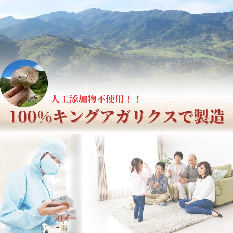 キングアガリクス100 (12袋) お試しセット 6日分 サプリメント 子供から高齢者まで 健康維持 疲れやすい 抵抗力 β-グルカン