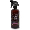 Penny & Rose Surface Cleaner | Penny Candy Scent