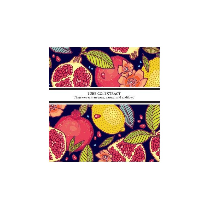 Absolute Aromas Clove Bud CO2 Select Extract Essential Oil 5ml