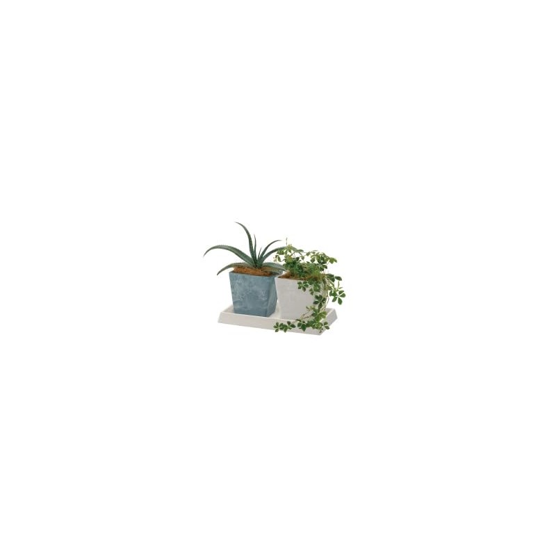 Richell 170238 Botany Rectangular Plate 27 Type (Plate Only/Planter Sold