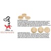 6" Bamboo Steamer Set (Includes 2 Steamers & 1 Cover)