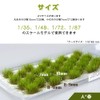 Samcos Model Grass, Spring Grass, Diorama, Scene Collection, Glass Model,