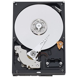 Western Digital 1 TB Caviar Green SATA Intellipower 8 MB Cache Bulk/OEM Desktop Hard Drive WD10EAVS