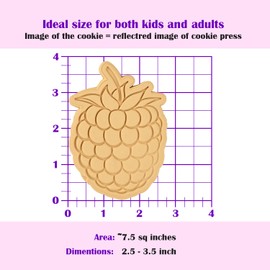 Raspberry cookie cutter - Fruits and food series - Dishwasher safe, 15mm deep Cookie cutter, Image press and Storage clip - Marshmallow Bliss