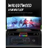 FEIFANZHE RGB Lighting Powered USB-C Docking Station, 9 Port Voice