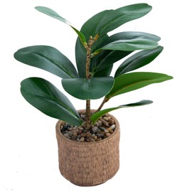 Ewtogift Indoor Artificial Plant 10" Green Faux Silk Plants Small Fake Plant with Realistic Trunk and Elegant Planter for Office Table House Home Bathroom Shelf Living Room Desk Decoration