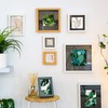 Nicola Spring Picture Photo Mount - to Fit Frame Size
