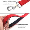 PenSeepet Basic Dog Leashes 6 FT Padded Handle Nylon Dogs
