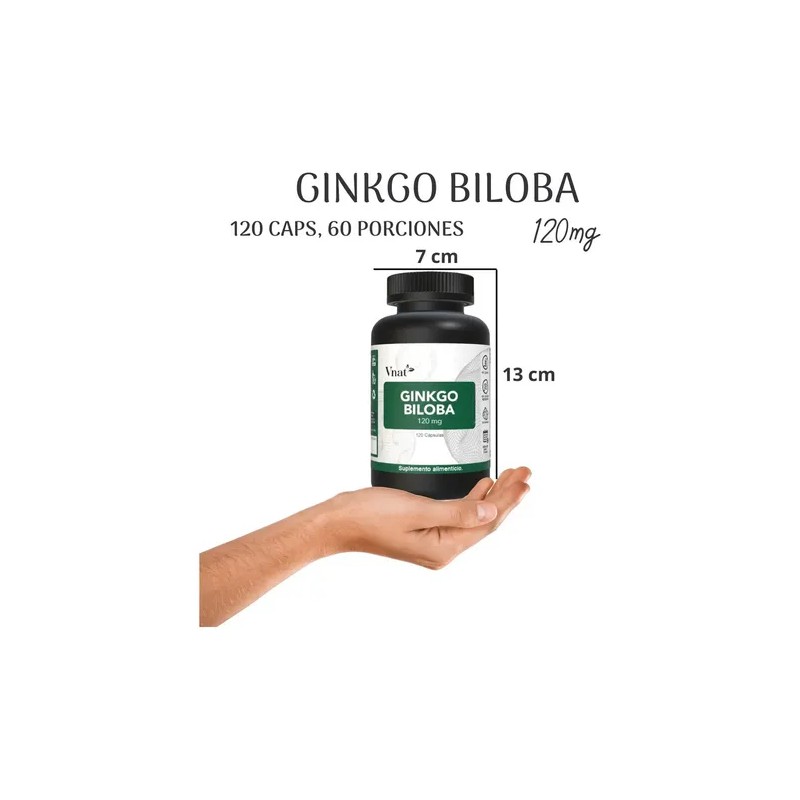 Ginkgo Biloba 120mg 240caps Ayuda Memoria Reduce Fatiga Vnat Sabor