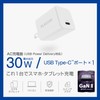 Elecom MPA-AC10230WH Type-C 30W Mini USB PD Compatible GaN II