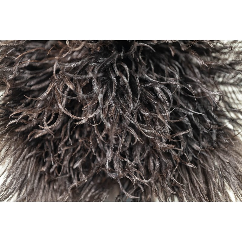 Royal Duster®, Premium Genuine Ostrich Feather Duster 14 inch