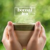 Bonsai Tea Co. Green Tea, Compatible with K Cup Brewers