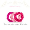 Teleties Small Silk Scrunchie - Rose All Day, 1 Count,