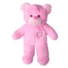 Cuddly Soft 16 inch Stuffed Pink Patches Teddy Bear...We Stuff