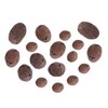 Sren Convenient Clay Pebbles Growing Media, Reusable Anion Clay Rocks,