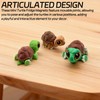 3 Pieces Mini Turtle Fridge Magnets with Articulated Movable Joints