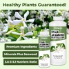 Star Jasmine Fertilizer for Star Jasmine Tree, Great for Any