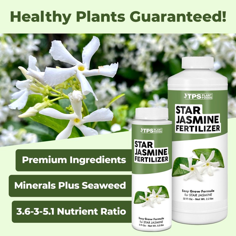 Star Jasmine Fertilizer for Star Jasmine Tree, Great for Any