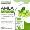 Nutranix Nutranix Hrz Amla Indian Gooseberry Powder for Hair Growth
