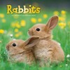 Carousel Calendars, Rabbits 2025 Wall Calendar