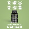 Berberina 1000 Mg 180 Cápsulas Nuboost Hecho En Usa