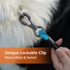 Long Dog Leash for Dog Training 10FT/15FT/20FT/30FT/40FT/50FT/100FT Reflective Leash with