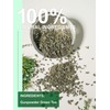 TeeLux Gunpowder Green Tea Loose Leaf, Mellow & Smooth Taste,