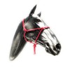 ARBO-INOX Knot Halter Simple without Lead Rope Special Offer (Full