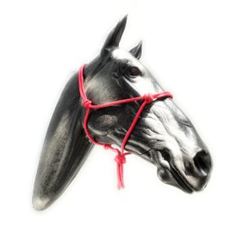 ARBO-INOX Knot Halter Simple without Lead Rope Special Offer (Full Warm Blood, Red)