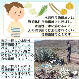 ヘルシーカンパニー オーガニック アガベ イヌリン (水溶性食物繊維)５００ｇ 有機