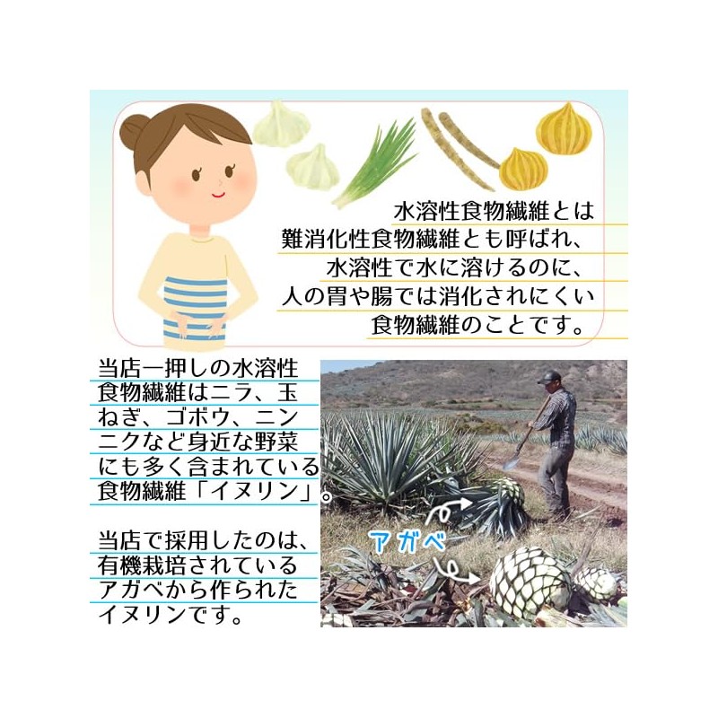 ヘルシーカンパニー オーガニック アガベ イヌリン (水溶性食物繊維)５００ｇ 有機