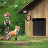 Automatic Chicken Coop Door Extra Large Solar Powered Auto Chicken
