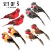Banberry Designs Feathered Song Bird Clip-On Ornaments - Assorted Styles