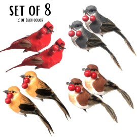 Banberry Designs Feathered Song Bird Clip-On Ornaments - Assorted Styles   #3637