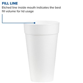(CA/500) C-FOAM CUP 20 OZ WHI