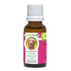 Gastro help, Antigastritis para perros