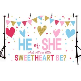 MEHOFOND Sweetheart Gender Reveal Baby Shower Photo Background He or She Valentine's Day Blue or Pink Gold Love Hearts Party Decoration Backdrops Banner for Photography 8x6ft