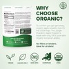 Jungle Powders Organic Apple Powder 5 Ounce Bag Apple Extract